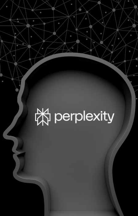 perplexity professores